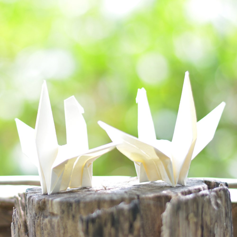 Home Decor Scrap - 50PCS bianco piegato Origami gru di