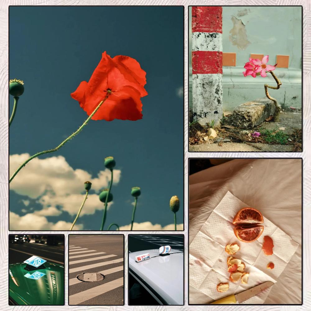 Home Decor Japandi Style - Stampa d'arte da parete in stile