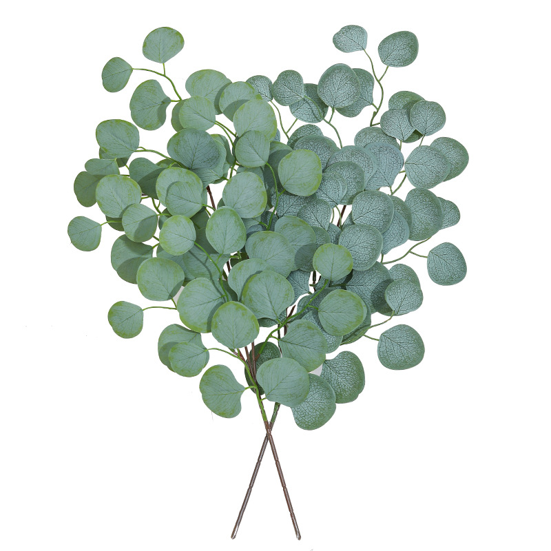 Foglia di eucalipto vite piant - Home Decor Scrap recensione e prezzo