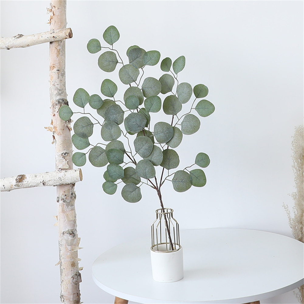 Foglia di eucalipto vite piant - Home Decor Scrap recensione e prezzo