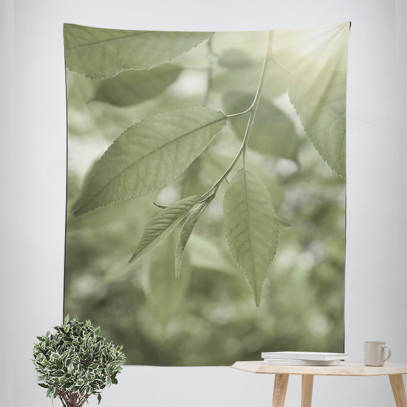 Decorazioni per la casa decora - Home Decor Y2K recensione e prezzo